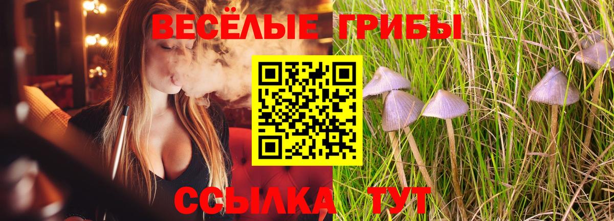 Альфа ПВП СОЛЬ   Новокубанск  МЕФ  Экстази  Каннабис  НБОМе  ГАШ  Вейп ТГК  Гашиш  Купить наркотики  Вход с VPN  Меф кристаллы 
