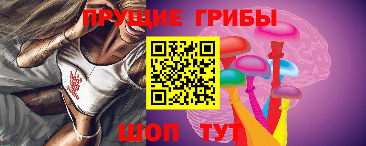 Галлюциногенные грибы Psilocybe Новокубанск