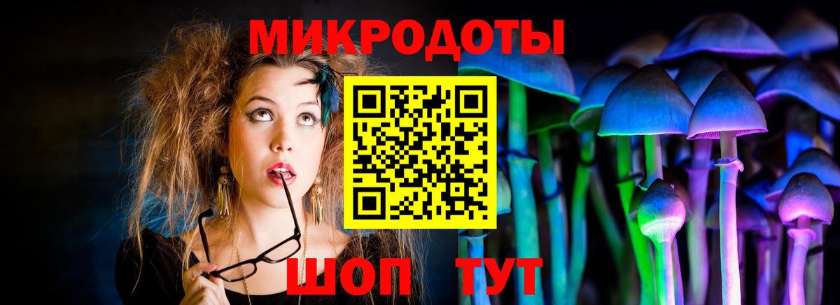 Новокубанск  Псилоцибиновые грибы Cubensis  Вход с VPN 