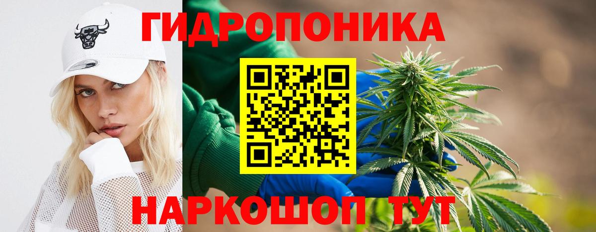 Шишки марихуана MAZAR  МАРИХУАНА SATIVA & INDICA  Новокубанск  Конопля OG Kush  Вход с VPN 